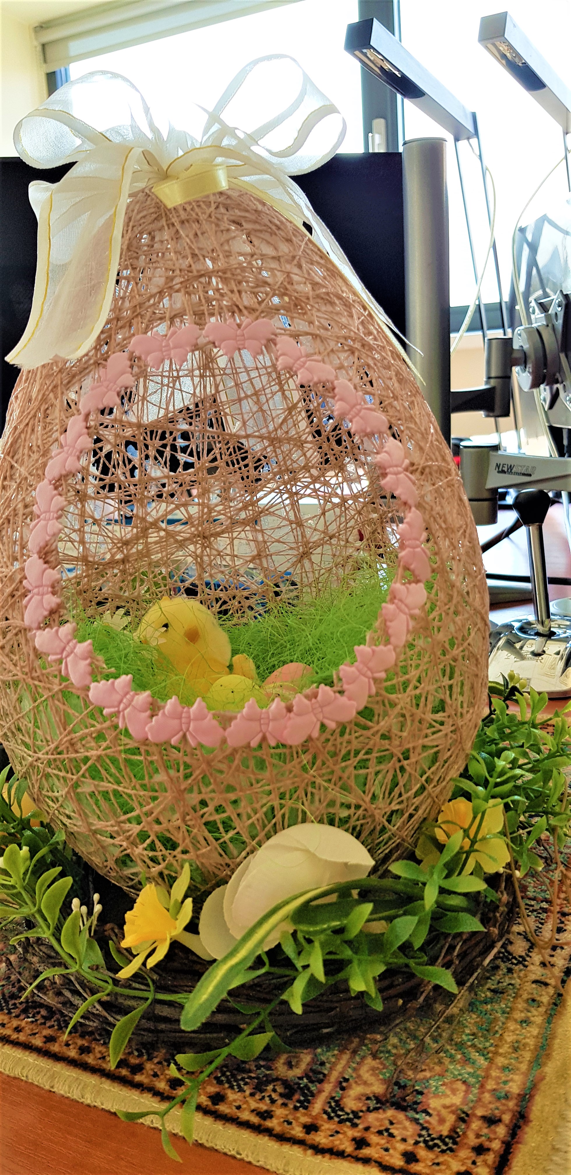 Happy Easter! Happy Easter!